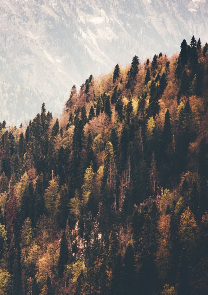 ahorro-section-grid-1