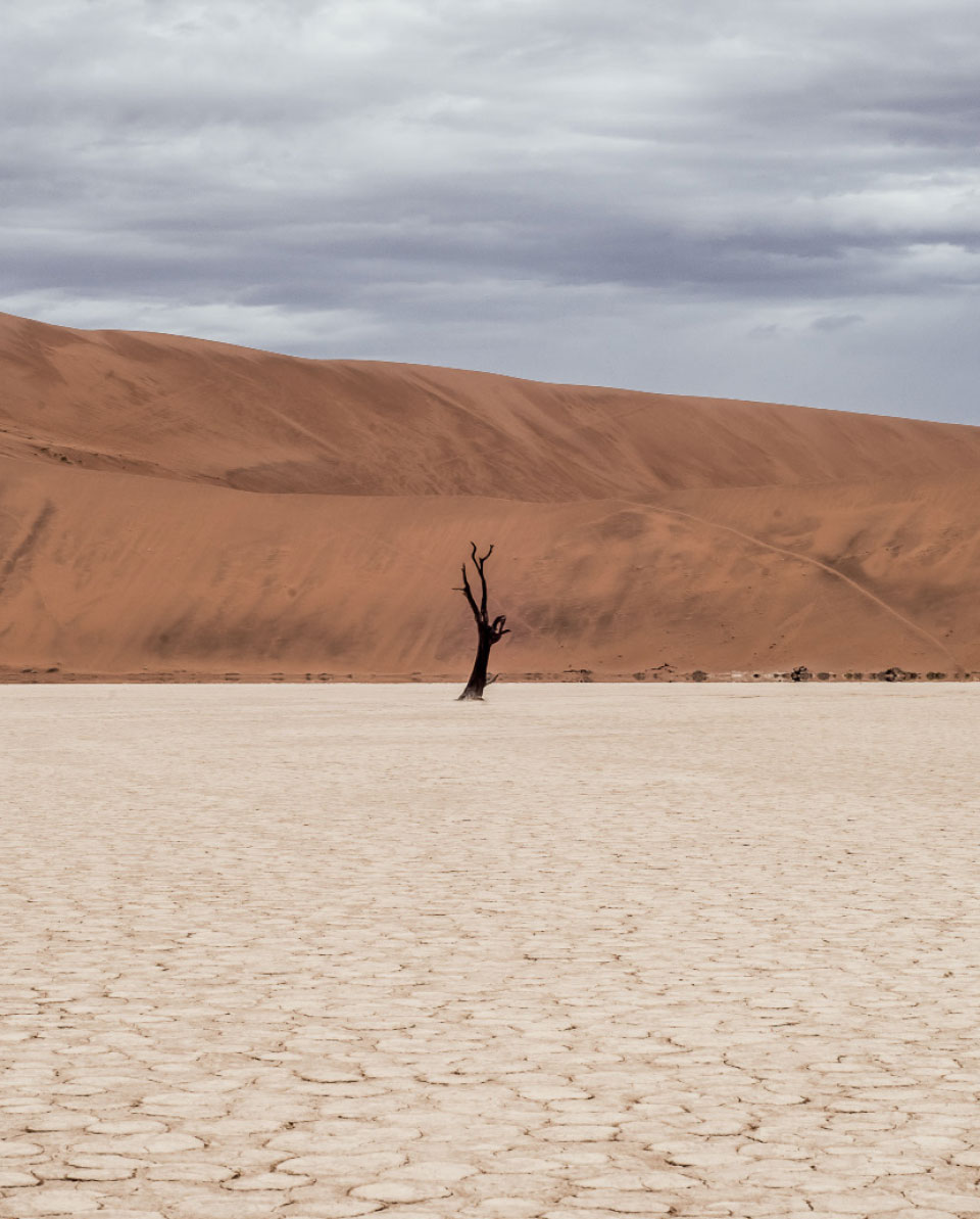 Renoveduch - Bañera por ducha